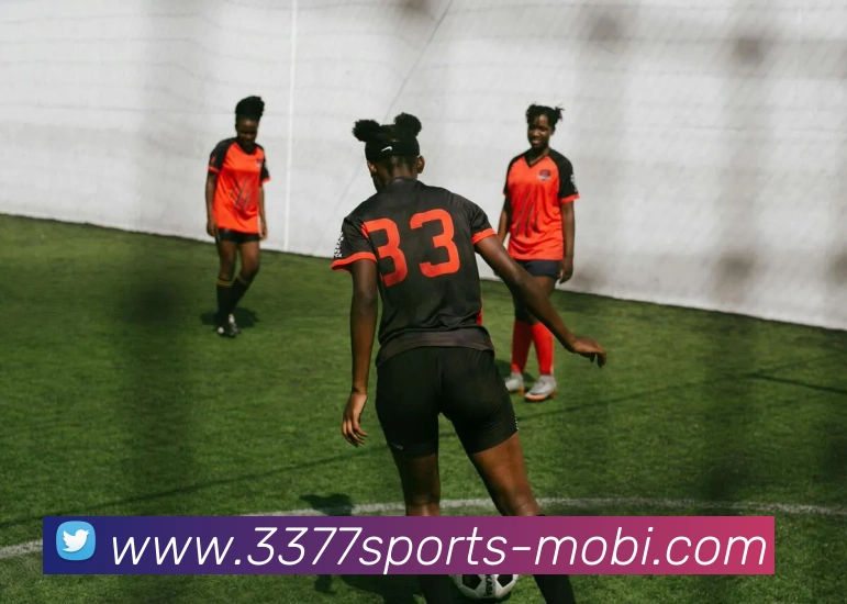 多媒体互动体验